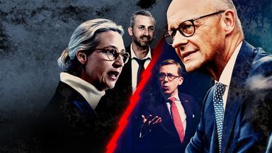 Alice Weidel und Ulrich Siegmund stehen Friedrich Merz und Philipp Amthor in einer Montage gegenüber.