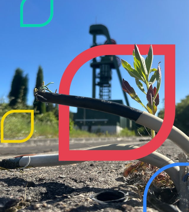 Auch wenn sich die Natur ihren Platz langsam zurück erkämpft, Schacht "Lerche" bei Hamm ist aktuell noch eine Industriebrache.