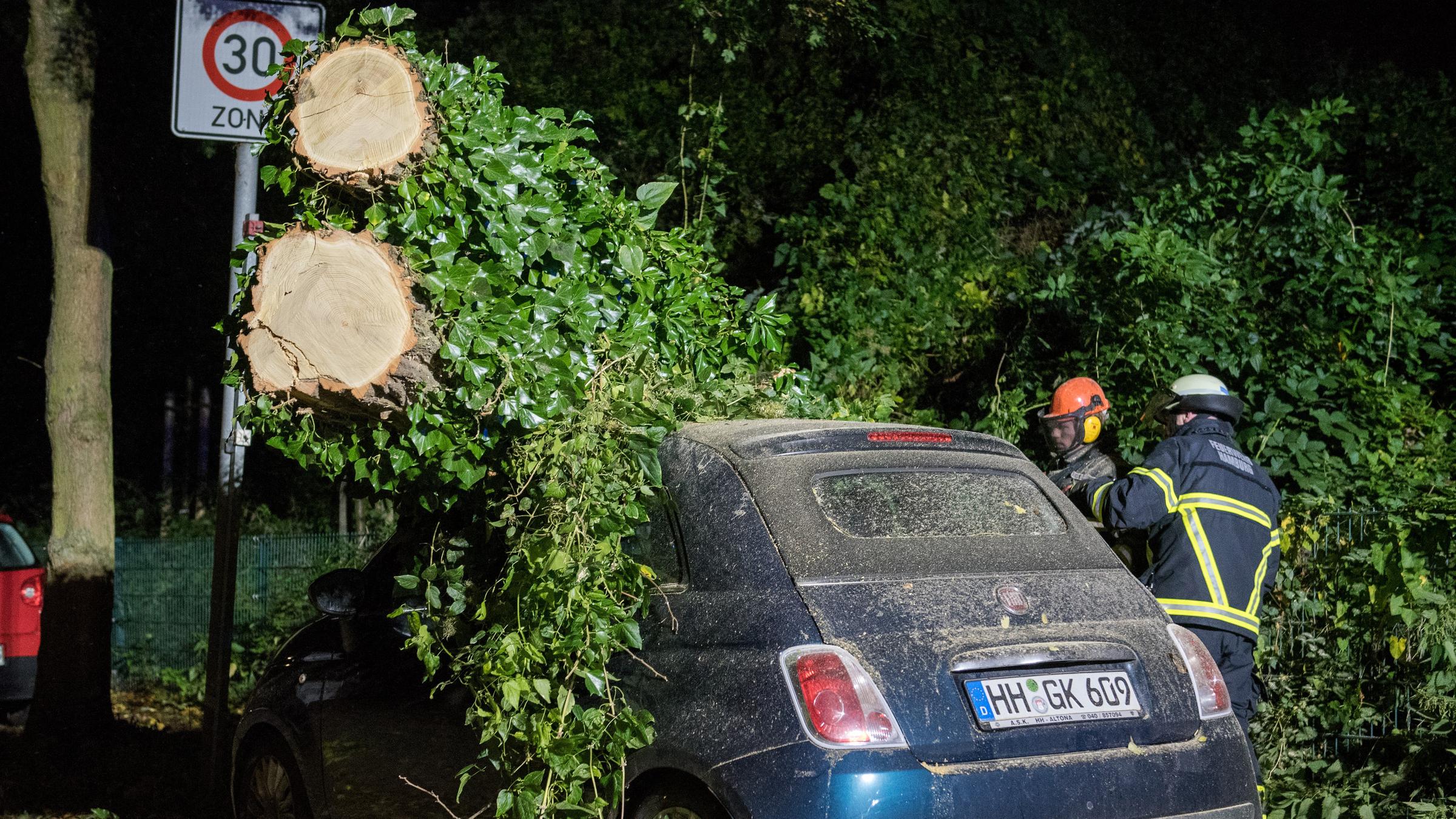 Feuerwehrleute zersägen einen Baum der in Hamburg-Winterhude auf ein Auto gestürzt ist.