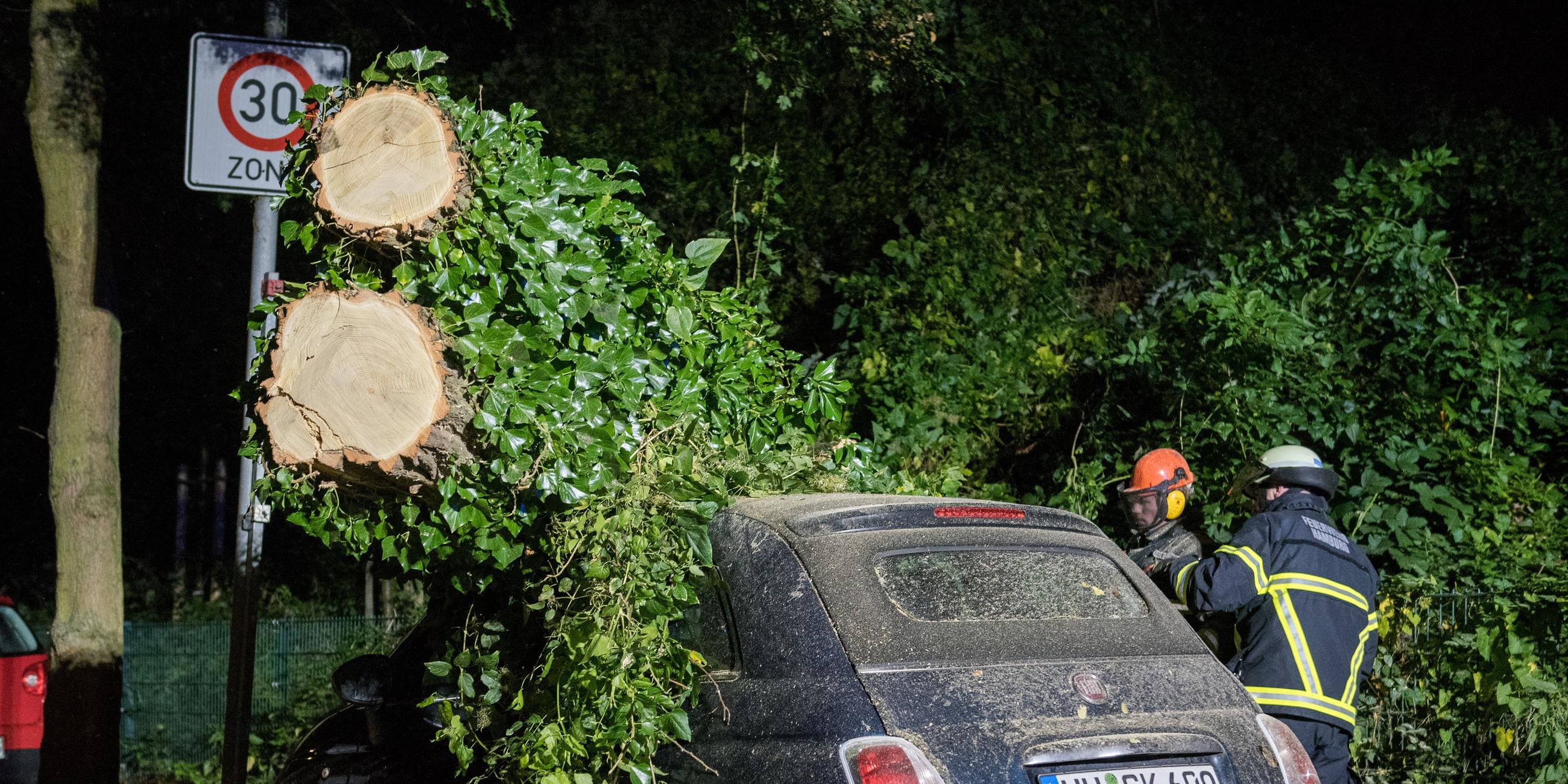 Feuerwehrleute zersägen einen Baum der in Hamburg-Winterhude auf ein Auto gestürzt ist.