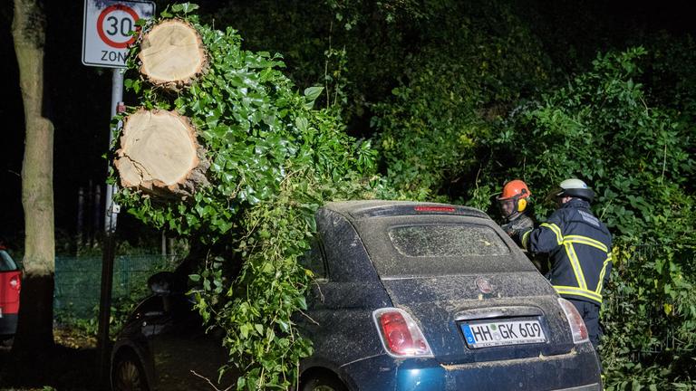 Feuerwehrleute zersägen einen Baum der in Hamburg-Winterhude auf ein Auto gestürzt ist.