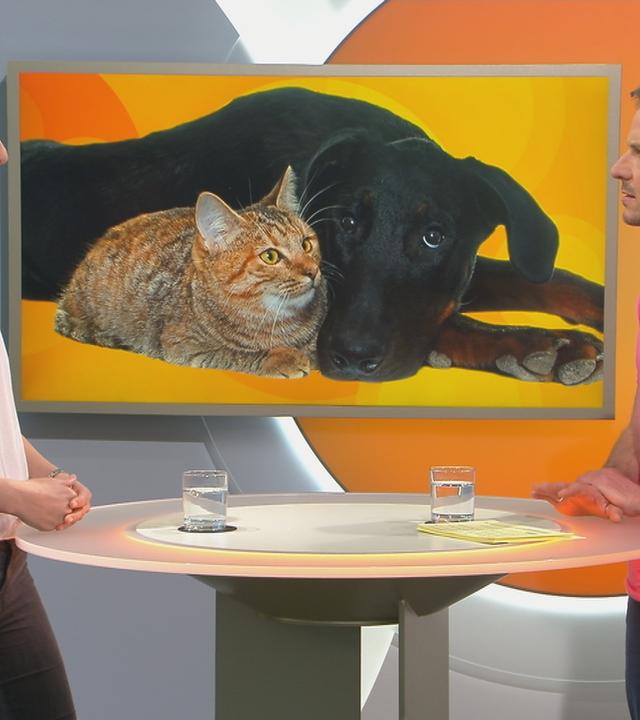 Lea Schmitz und Florian Weiss am Tisch