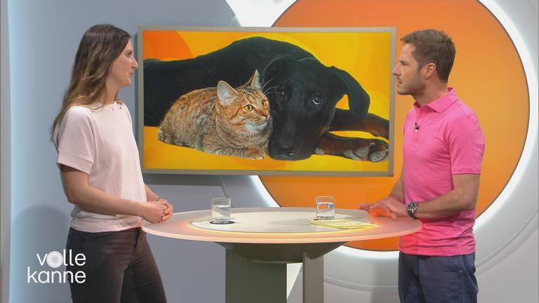 Lea Schmitz und Florian Weiss am Tisch