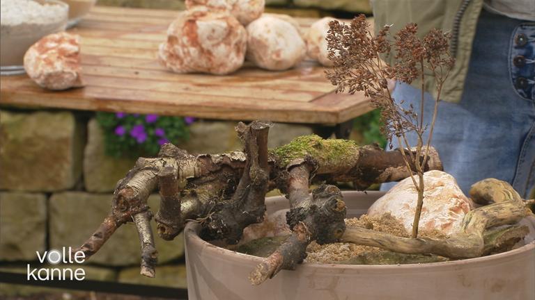 Hilfe für Wildbienen im eigenen Garten