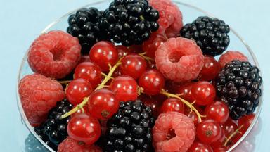 Himbeeren, Johannisbeeren und Brombeeren in einer Schale.