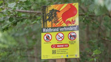 Waldausflug im Sommer: So senken Sie das Waldbrandrisiko