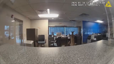 Hirsch landet in Bankfiliale