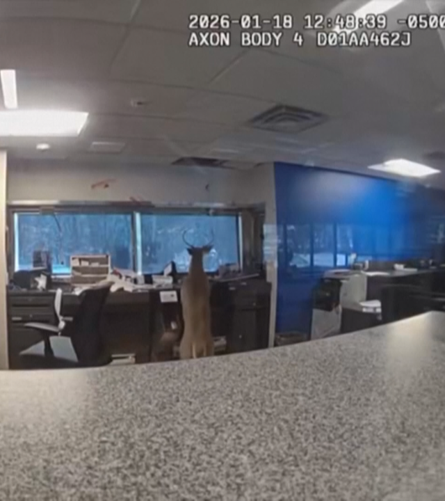 Aufnahme von Überwachungskamera