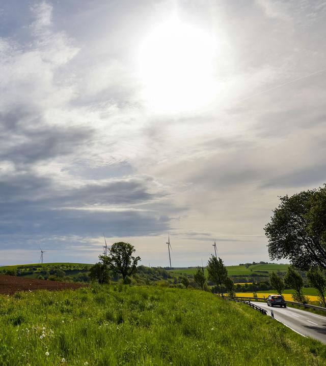 Die morgendliche Sonne scheint auf einen Acker.