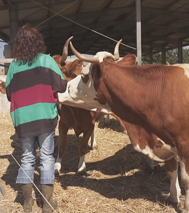 Eine Frau an einem Bauernhof neben einer Kuh