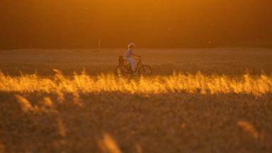 Eine Frau fährt auf einem Fahrrad, während eines Sonnenuntergangs in Frankfurt am Main, an einem Feld entlang.
