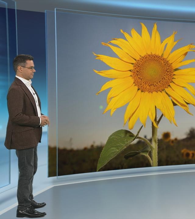 Wetter-Experte Özden Terli erläutert die Hintergründe der extremen Wetterlage und der hohen Temperaturen, die Deutschland diesen Monat prägen.