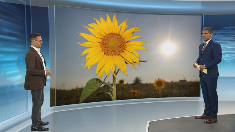 Wetter-Experte Özden Terli erläutert die Hintergründe der extremen Wetterlage und der hohen Temperaturen, die Deutschland diesen Monat prägen.