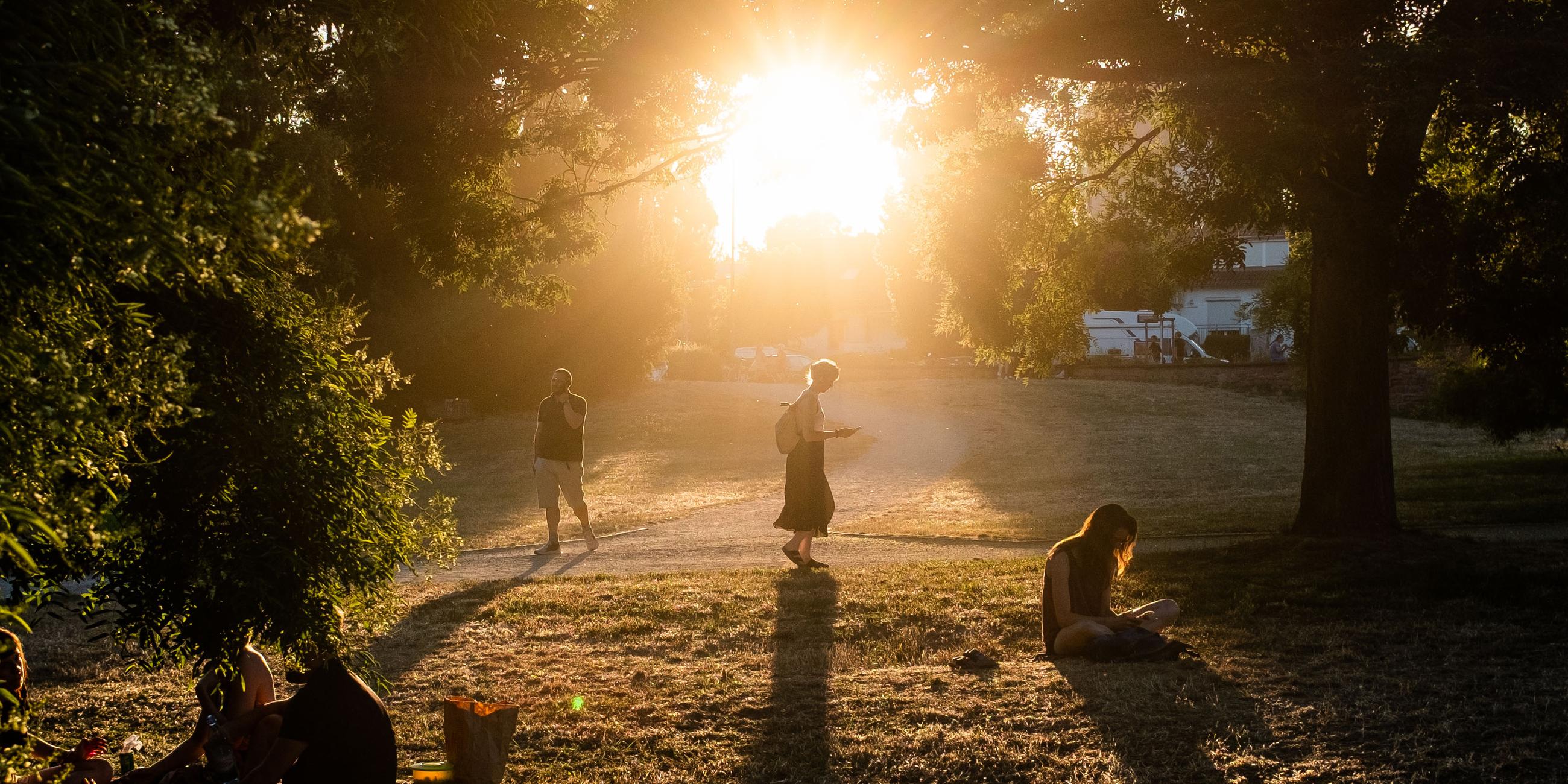 Die Abendsonne bescheint einen der trockenen, staubigen Wege im Frankfurter Günthersburgpark, aufgenommen am 18.07.2022