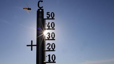 Die Sonne scheint hinter einem Thermometer, an dem eine Schwebefliege vorbeifliegt.