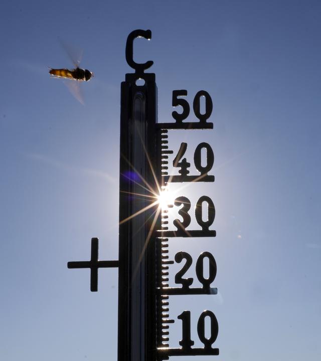 Die Sonne scheint hinter einem Thermometer, an dem eine Schwebefliege vorbeifliegt.