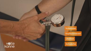 Tipps bei Hitze: Was wirklich hilft