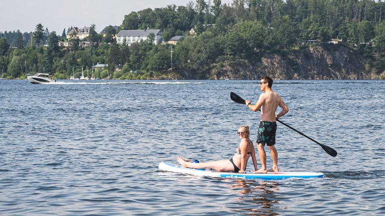 Thüringen, Saalburg: Menschen fahren mit dem Stand-Up Paddle (SUP) auf dem Bleilochstausee.