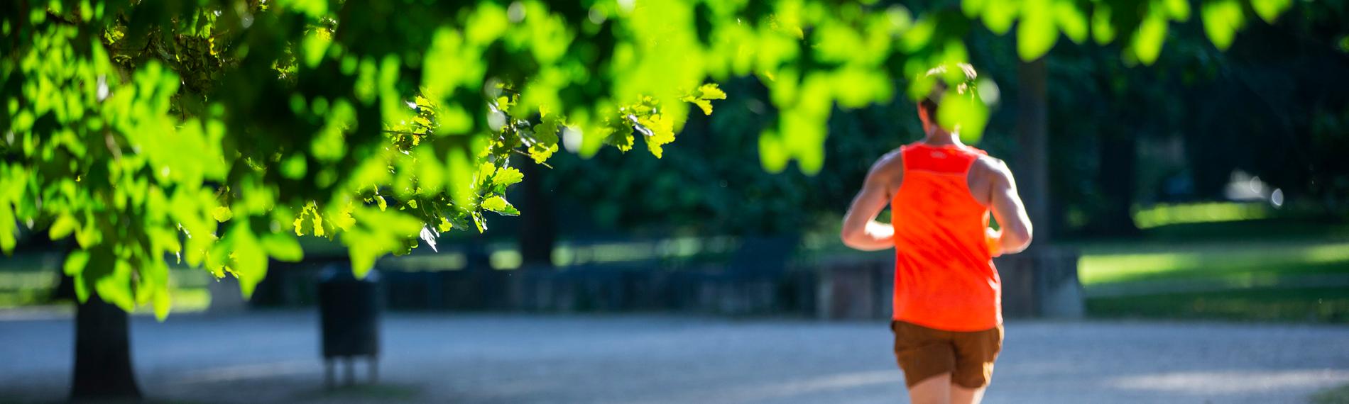 Nordrhein-Westfalen, Köln: Ein Jogger läuft am frühen Morgen durch den sonnigen Kölner Stadtwald.