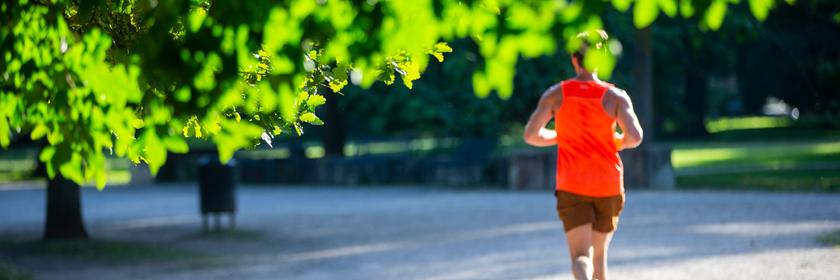 Nordrhein-Westfalen, Köln: Ein Jogger läuft am frühen Morgen durch den sonnigen Kölner Stadtwald.