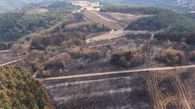 Weitere Entwicklung nach Wald- und Wiesenbrand in Langscheid