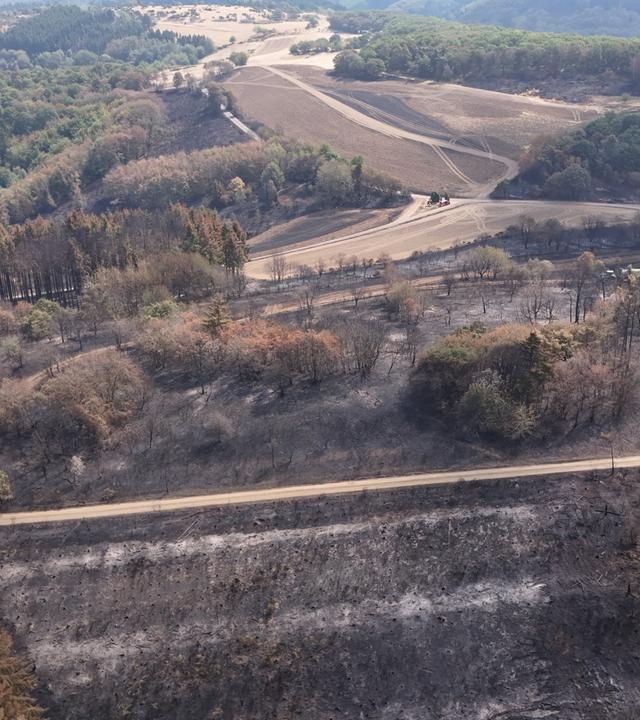Weitere Entwicklung nach Wald- und Wiesenbrand in Langscheid