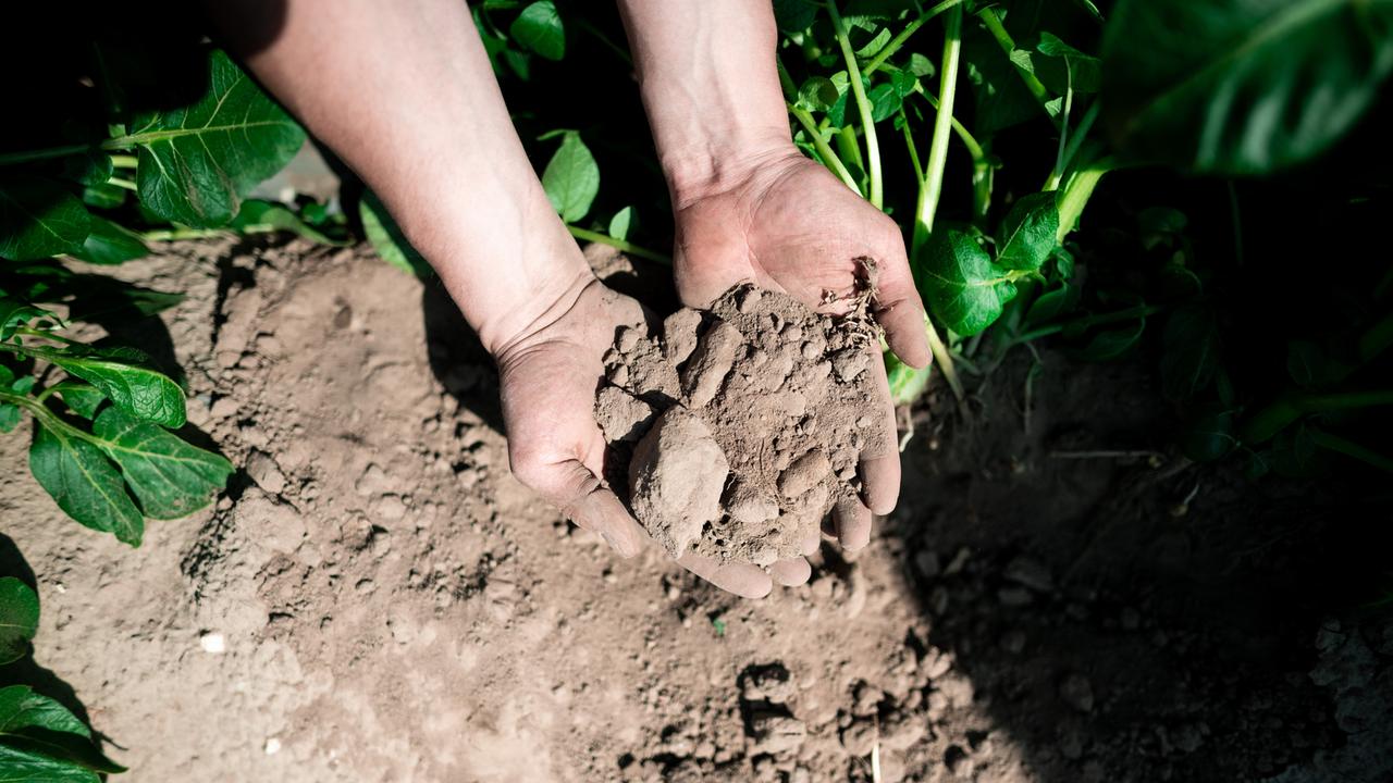Studie: Klimawandel verstärkt Dürre