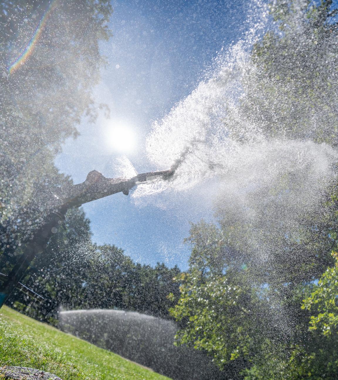  Wassersprenger beregnen den Rasen im Tiergarten Berlin.
