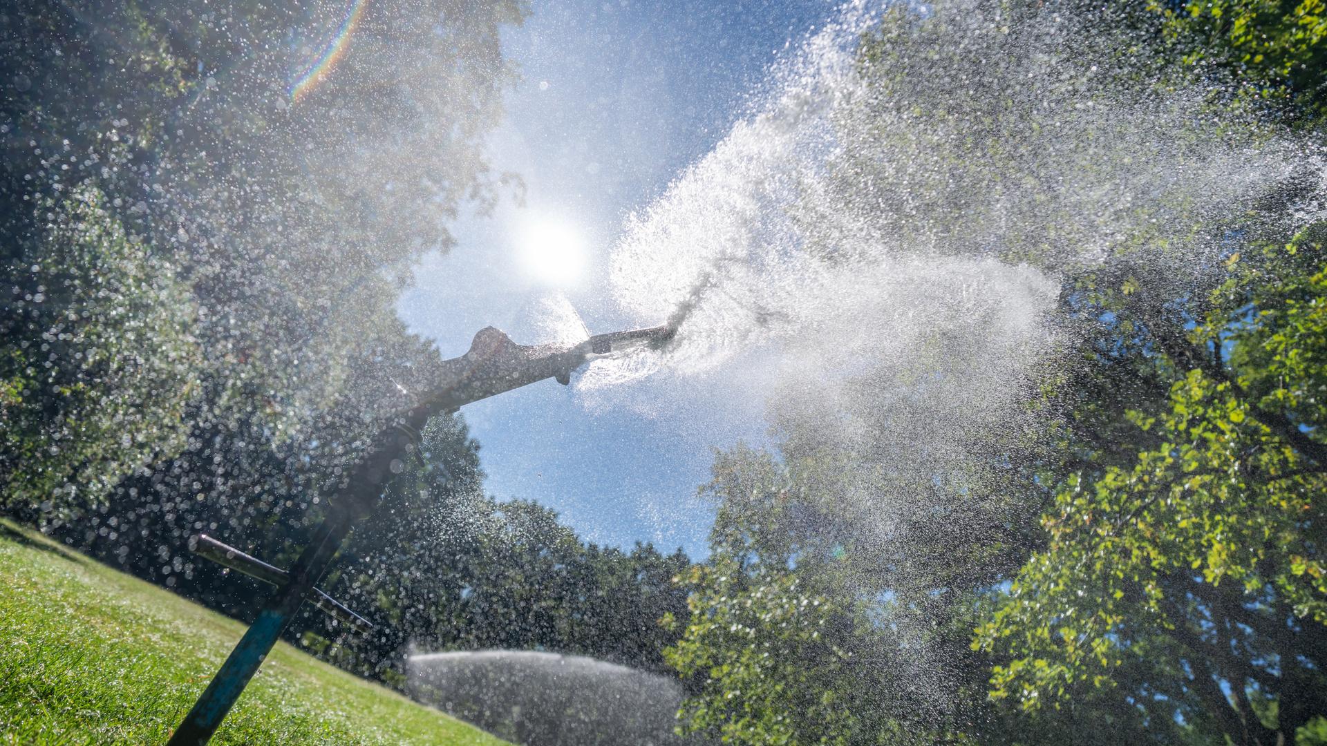  Wassersprenger beregnen den Rasen im Tiergarten Berlin.