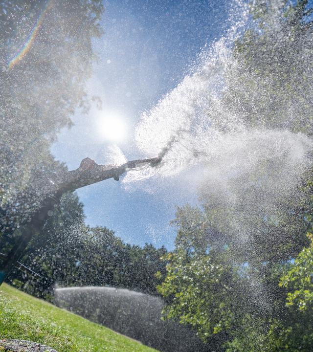  Wassersprenger beregnen den Rasen im Tiergarten Berlin.