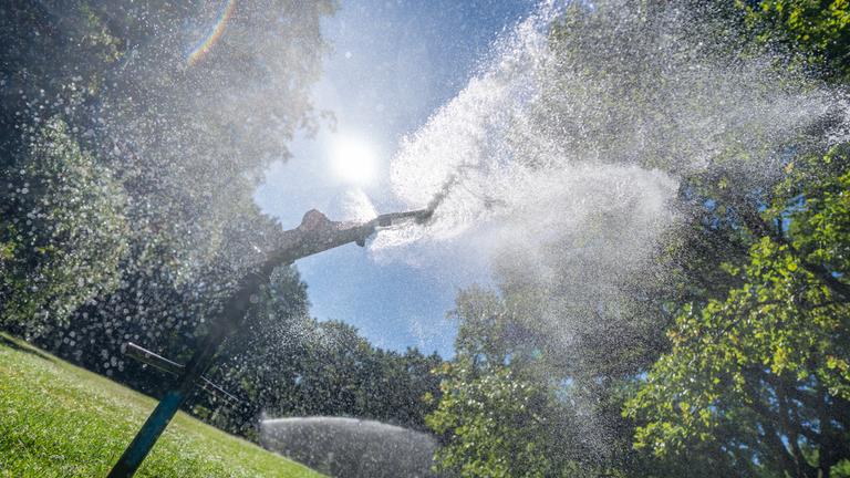  Wassersprenger beregnen den Rasen im Tiergarten Berlin.