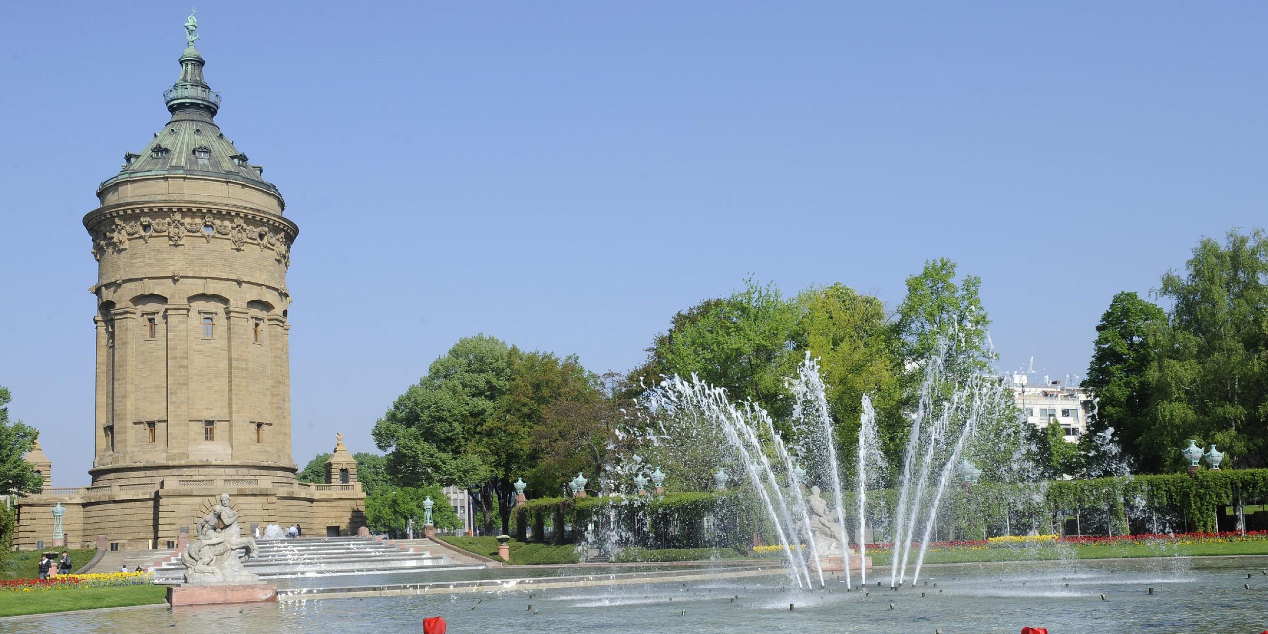 Tulpen blühen bei strahlendem Sonnenschein vor dem Wasserturm in Mannheim. 