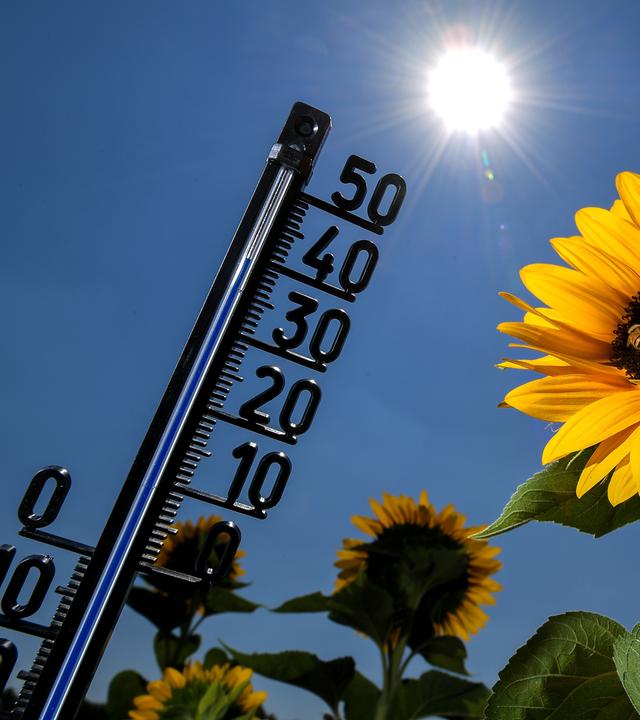 Mit Prognosen bis zu 38 Grad werden die bisher heißesten Tage des Jahres erwartet.