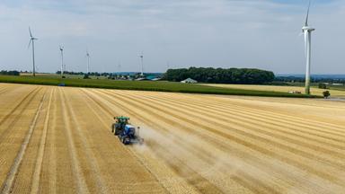 Die heißen und trockenen Temperaturen stellen Landwirte vor große Probleme.