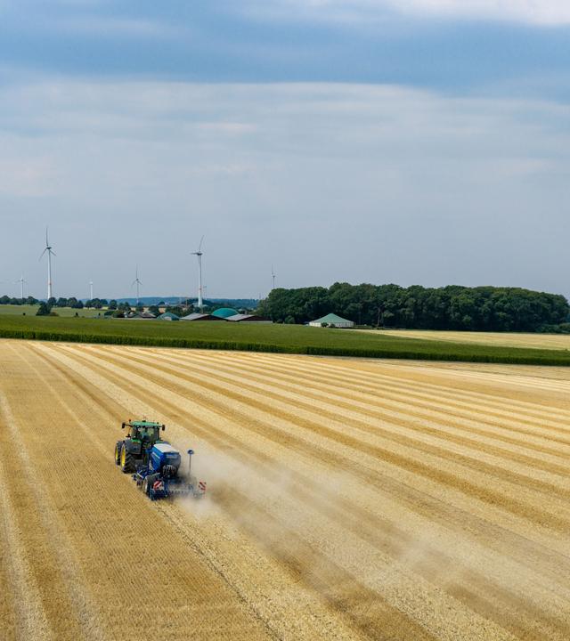 Die heißen und trockenen Temperaturen stellen Landwirte vor große Probleme.