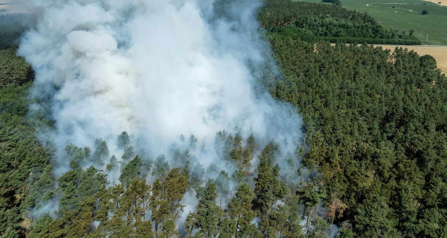 Hitzewelle in Deutschland sorgt für Waldbrände 