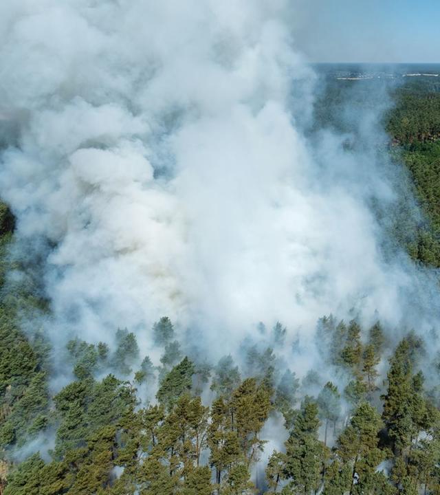 Hitzewelle in Deutschland sorgt für Waldbrände 
