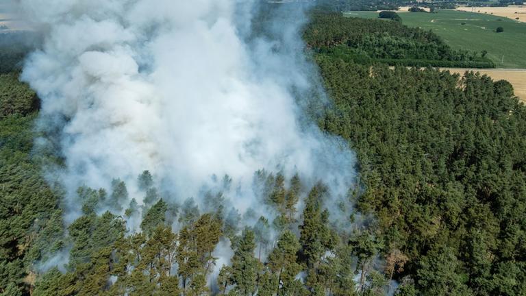 Hitzewelle in Deutschland sorgt für Waldbrände 