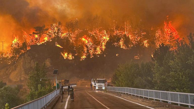 Brände in der Türkei