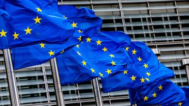 EU-Flaggen