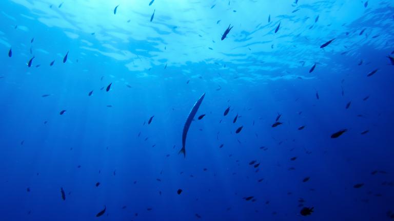 UN-Hochseeschutzabkommen
