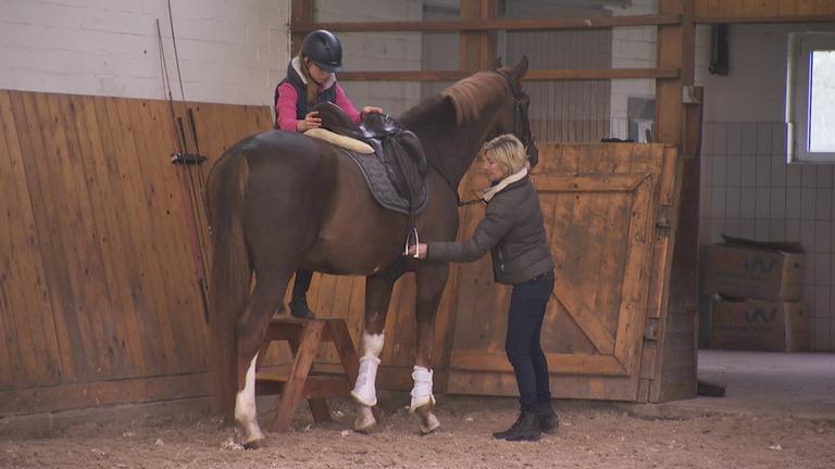 Reiterhof in Niedersachsen nach Hochwasser