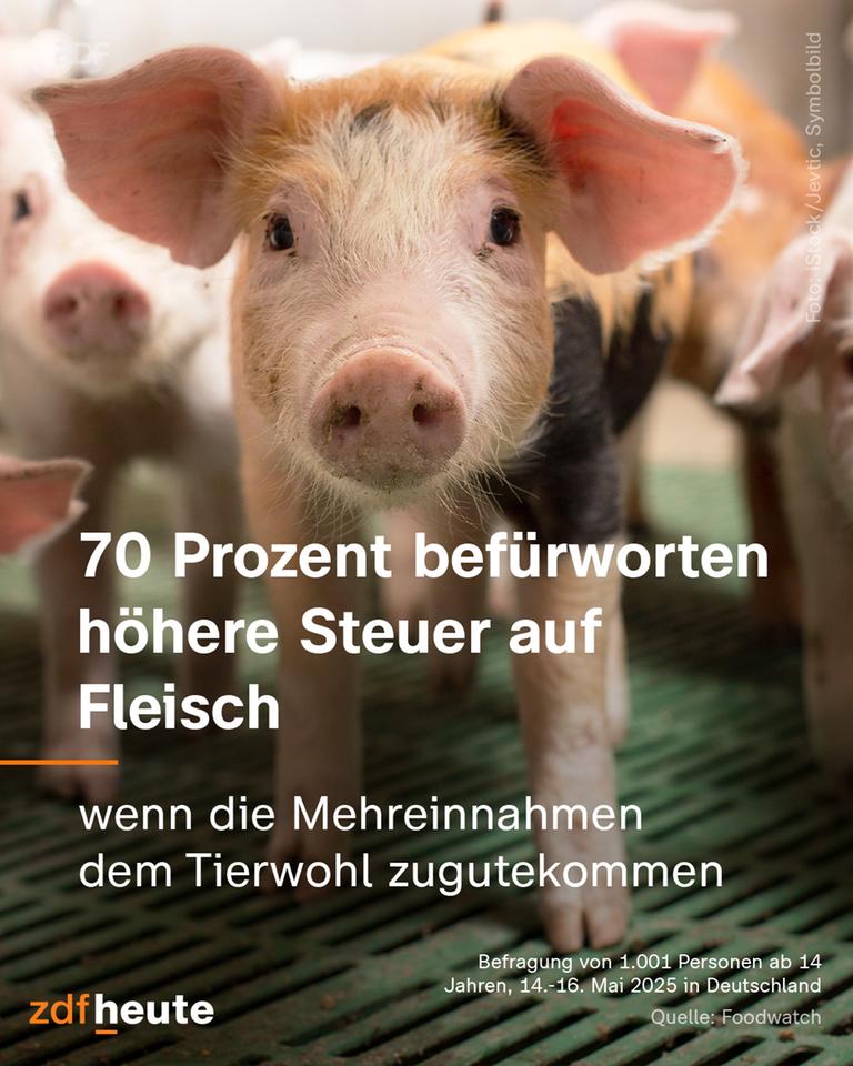70 Prozent befürworten höhere Fleischsteuer, wenn die Mehreinnahmen dem Tierwohl zugutekommen.
