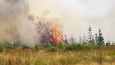  Flammen schlagen hoch in der Hochmoor- und Sumpflandschaft Hohe Venn unweit der deutschen Grenze.