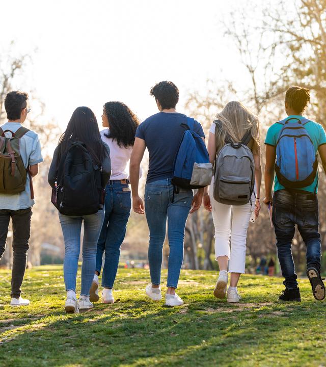 Eine Gruppe junger Studierender unterschiedlicher Herkunft, die gemeinsam durch den Park gehen. Ansicht von hinten.