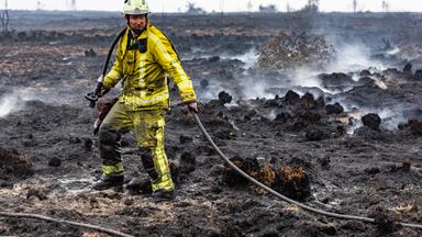 Die Bekämpfung des Waldbrandes ist wegen des torfhaltigen Bodens in dem Naturschutzgebiet besonders schwierig. 
