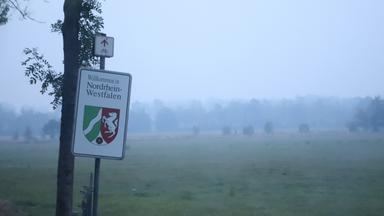 Rauch vom Waldbrand im Hohen Venn zieht über ein Feld, an dem ein Schild mit der Aufschrift "Willkommen in Nordrhein-Westfalen" die Staatsgrenze markiert.