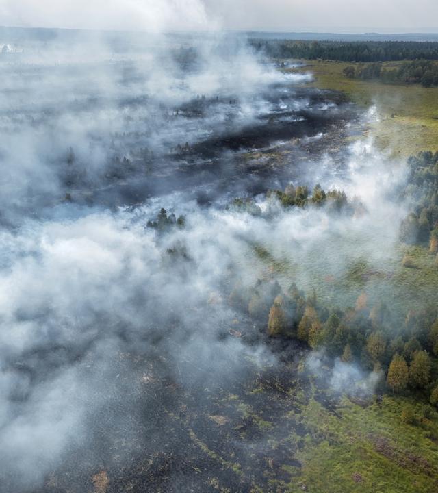 Waldbrand im Hohen Venn