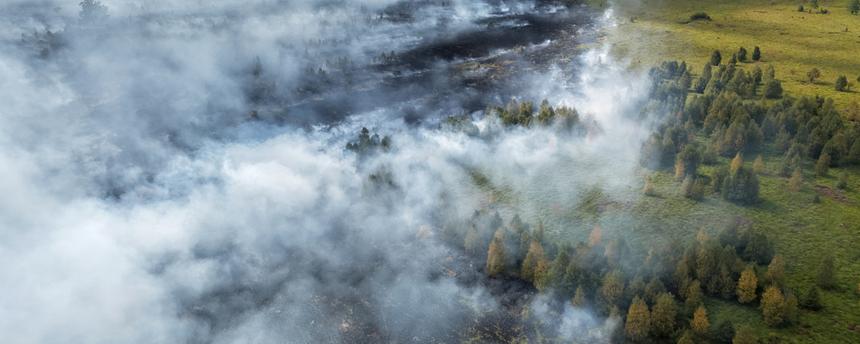 Waldbrand im Hohen Venn