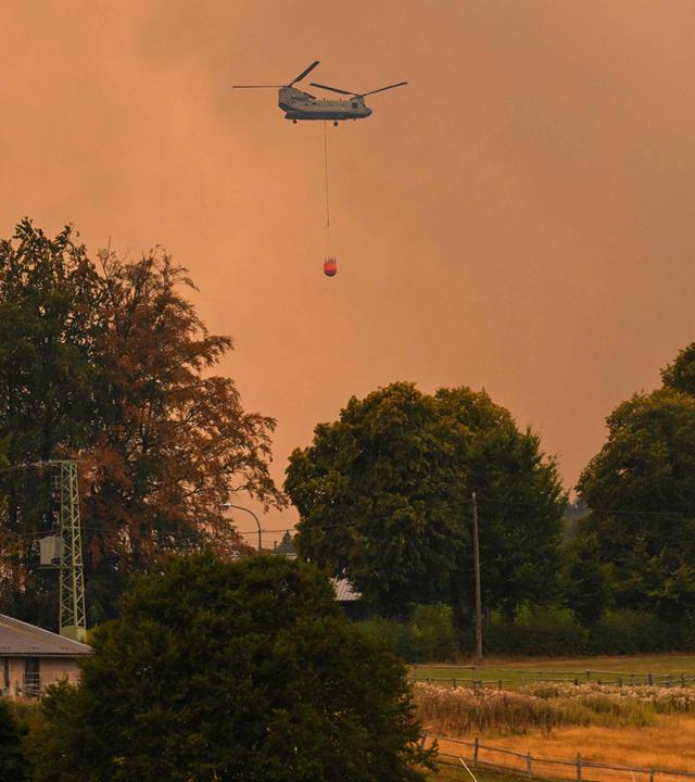 BELGIUM-ENVIRONMENT-CLIMATE-WEATHER-WILDIFRE